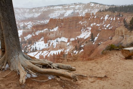 Bryce Canyon